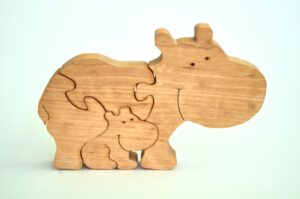 Educational Wooden Puzzle Toy